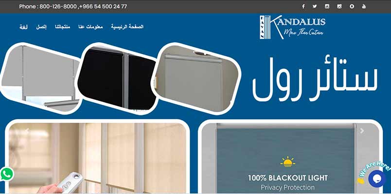 business website development, eCommerce website designing, mobile apps developer, mobile website, online store website, responsive website designing, shopping website development, web design company, Digital Marketing company in Saudi Arabia, E-marketing company in Egypt, digital marketing companies in india